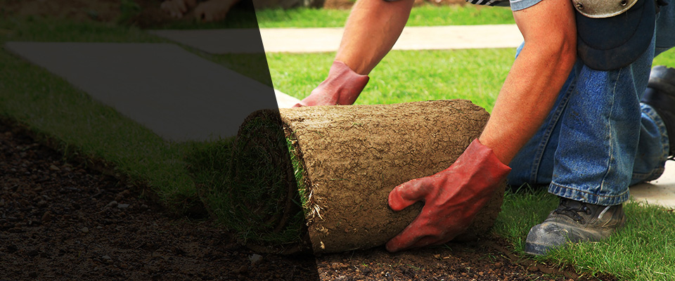 Brinkley Landscapers